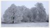 DSC_1520-~0.jpg