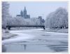DSC_1659-~0.jpg