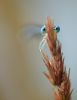 DSC_8347-1.jpg