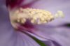 DSC_9801-1~0.jpg