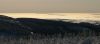 P1170197-1.jpg